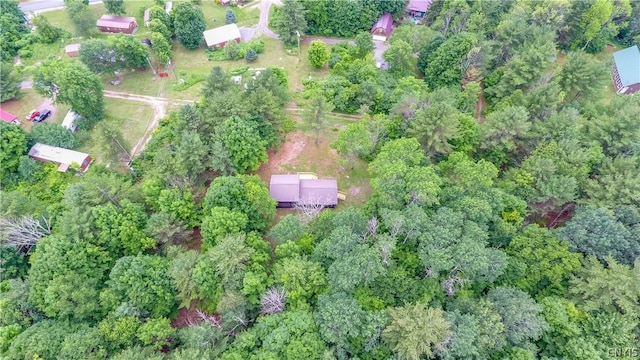 14141 Melanie Ln, Diana, NY 13648 - view of property location