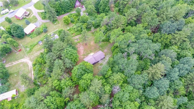 14141 Melanie Ln, Diana, NY 13648 - aerial view of property and surrounding area