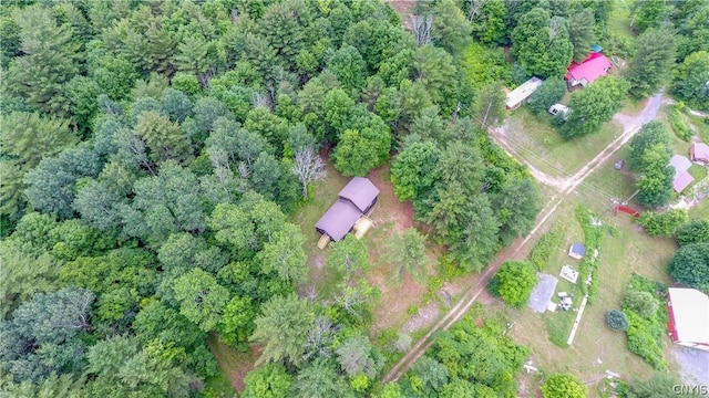 14141 Melanie Ln, Diana, NY 13648 - aerial view of property's location