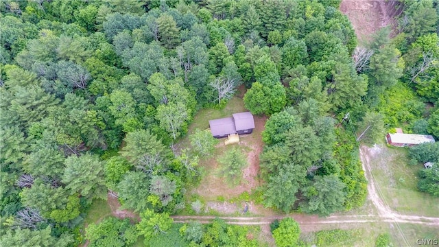 14141 Melanie Ln, Diana, NY 13648 - aerial view of property's location with a forest