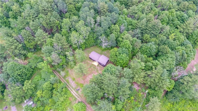 14141 Melanie Ln, Diana, NY 13648 - aerial overview of property's location featuring a heavily wooded area