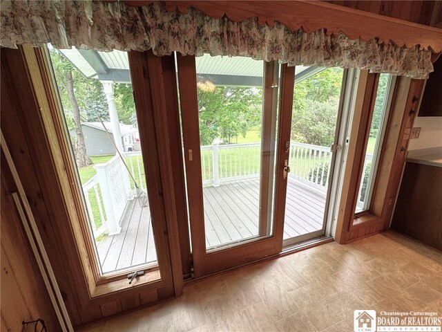 entryway featuring plenty of natural light