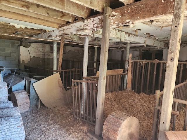 view of stable