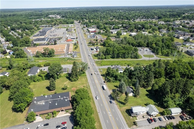 bird's eye view