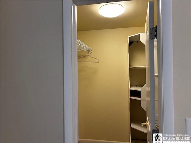 view of walk in closet