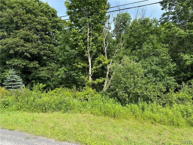 7204 Sweeney Rd, Greig NY, 13345 land for sale