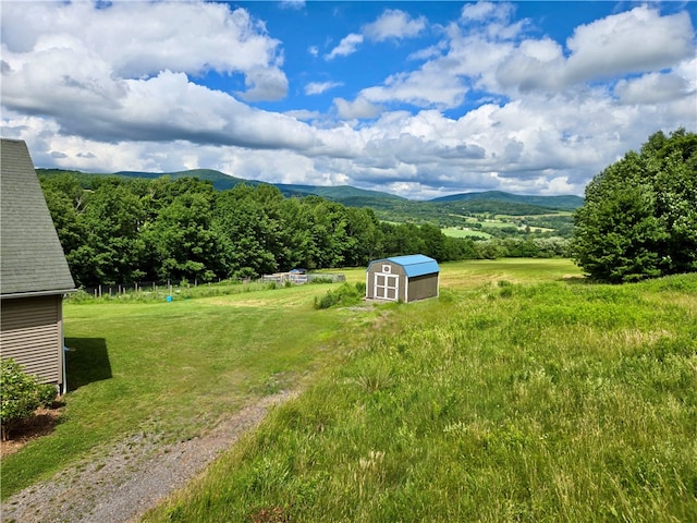 view of yard with a mountain view and a storage unit