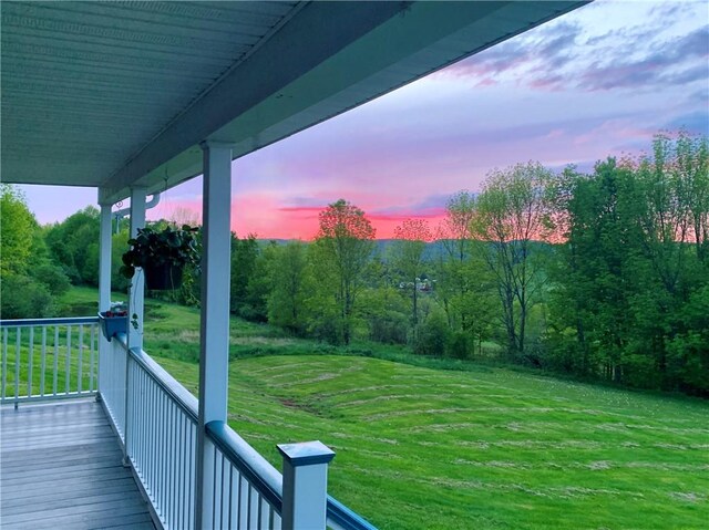 view of yard at dusk