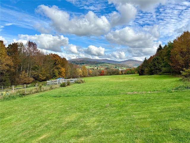 view of yard with a mountain view and a rural view