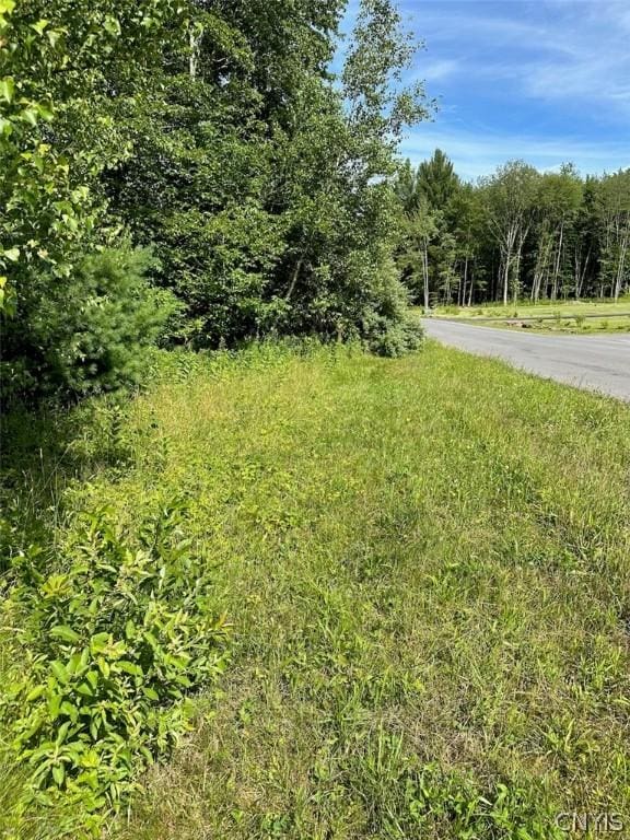 5 Belva Blvd, Hastings, NY 13076 - photo 8