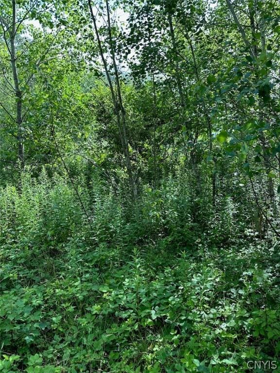 5 Belva Blvd, Hastings, NY 13076 - photo 10