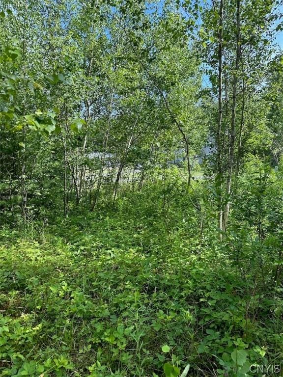 5 Belva Blvd, Hastings, NY 13076 - photo 11