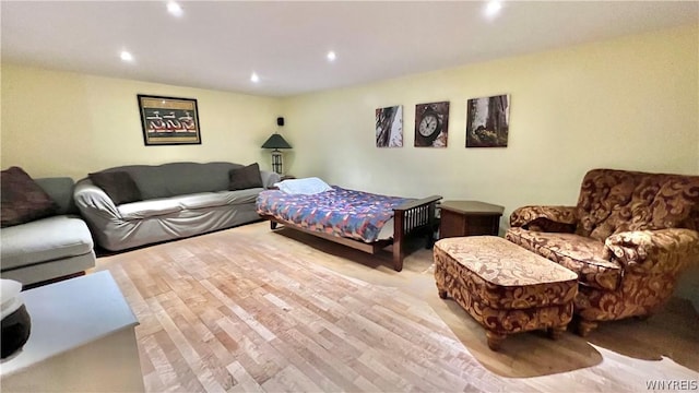 living room featuring light hardwood / wood-style floors