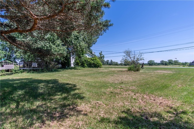 view of yard with a wooden deck