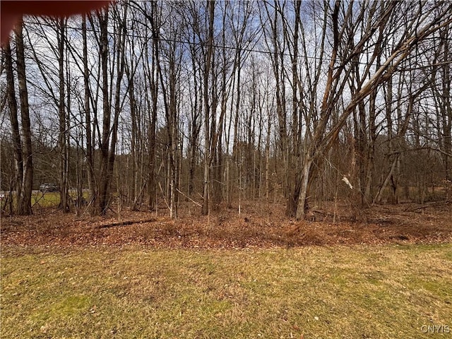 8231 Kimball Rd, Vienna NY, 13308 land for sale