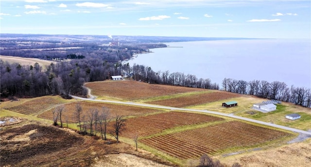 bird's eye view with a rural view and a water view