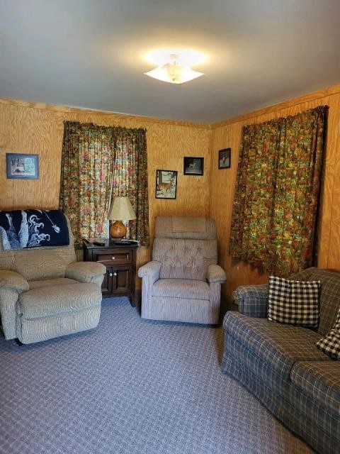 living room with wooden walls and carpet