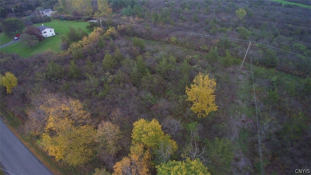 0 Military Rd, Hounsfield, NY 13685 - photo 2