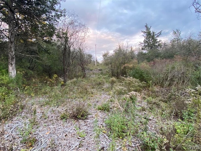 0 Military Rd, Hounsfield, NY 13685 - photo 1
