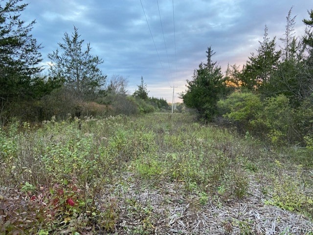 0 Military Rd, Hounsfield, NY 13685 - photo 4