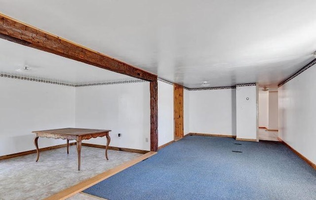 basement featuring carpet floors