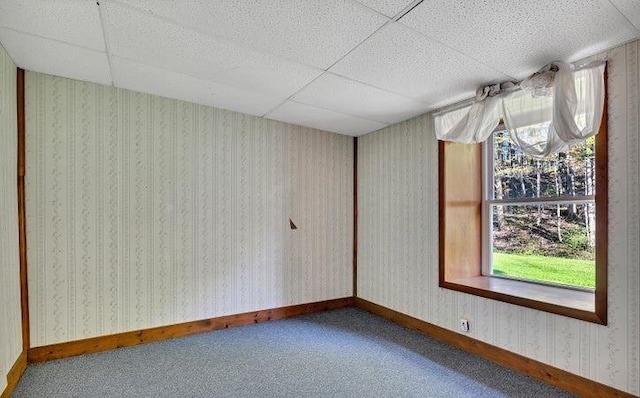 spare room featuring carpet and a paneled ceiling