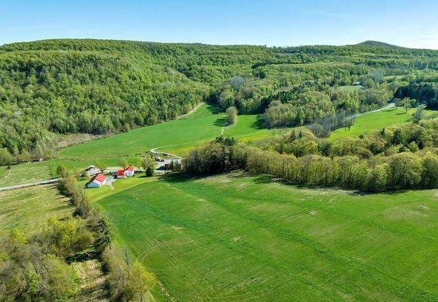 birds eye view of property with a rural view