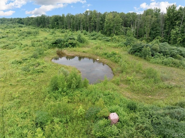 000 Rte 31, Sullivan, NY 13032 - photo 7