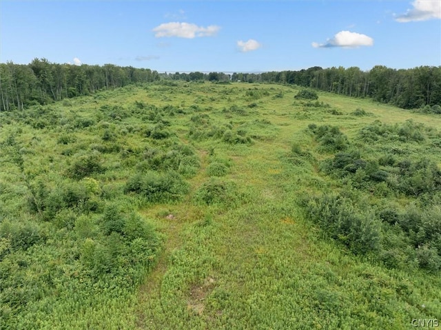 000 Rte 31, Sullivan, NY 13032 - photo 18