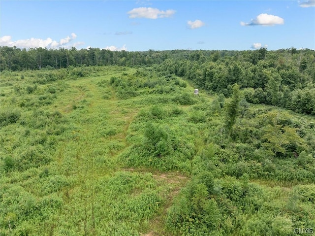 000 Rte 31, Sullivan, NY 13032 - photo 19