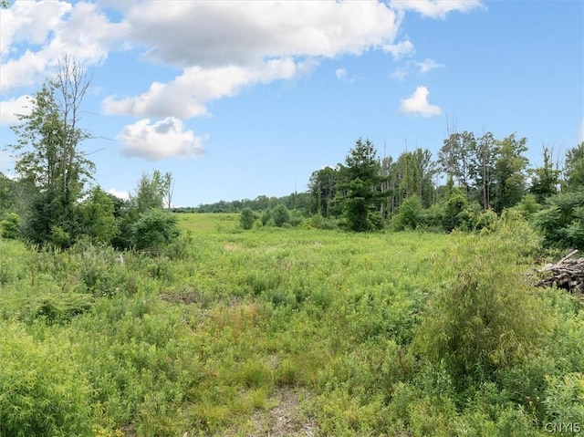000 Rte 31, Sullivan, NY 13032 - photo 22