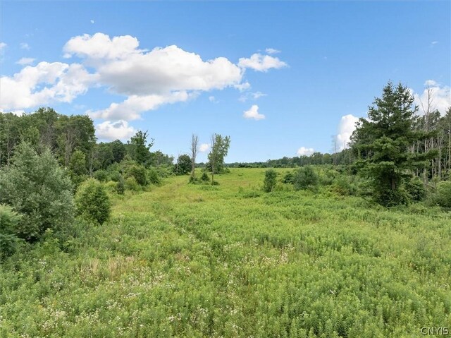 000 Rte 31, Sullivan, NY 13032 - photo 5