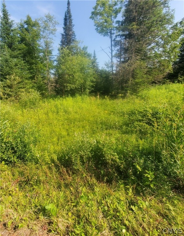 00 Bull Hill Rd, Ohio NY, 13324 land for sale