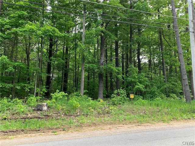 0 Burnup Rd, Rutland NY, 13612 land for sale