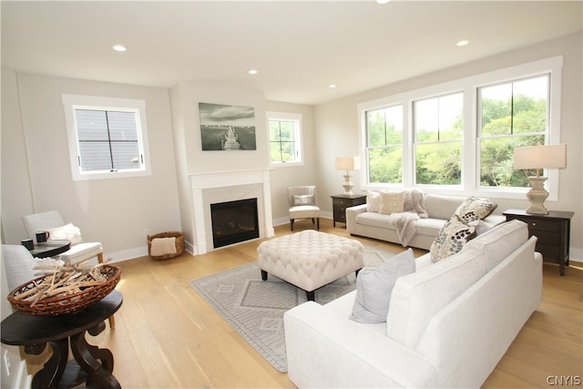 living room featuring light hardwood / wood-style flooring and plenty of natural light