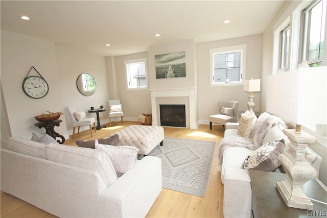 living room with light hardwood / wood-style floors