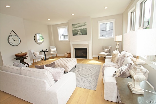 living room with light hardwood / wood-style floors