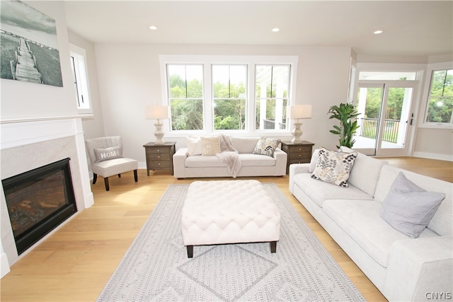 living room featuring light hardwood / wood-style floors and plenty of natural light