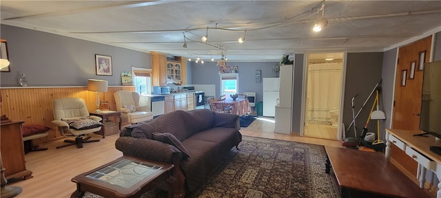 living room with light hardwood / wood-style flooring