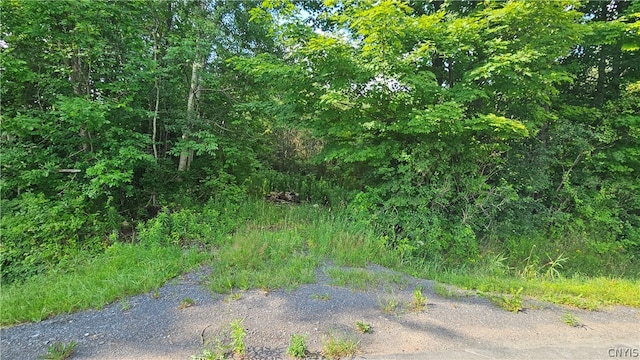 00 Patten Rd, Lowville NY, 13367 land for sale