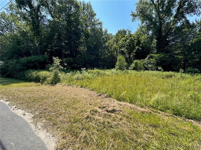 3459 County Route 176, Scriba, NY 13126 - photo 6