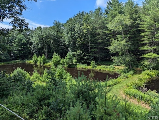 view of landscape with a water view