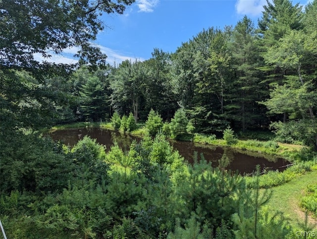 view of nature with a water view