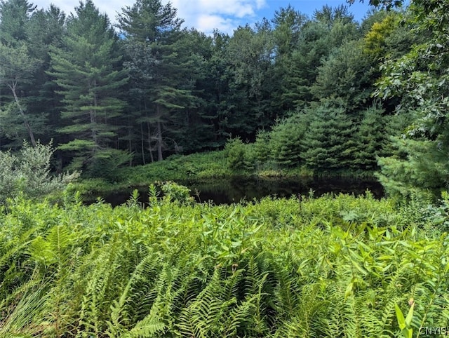 view of landscape