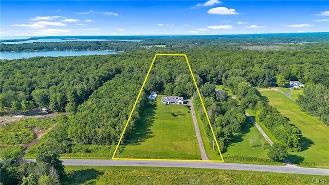 birds eye view of property with a forest view and a water view
