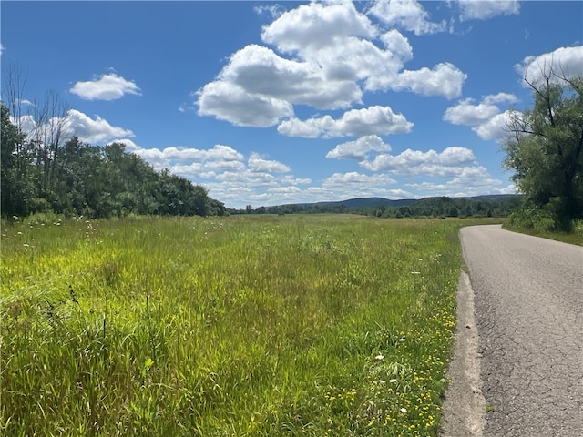 0 Myers Rd, Bradford NY, 14879 land for sale