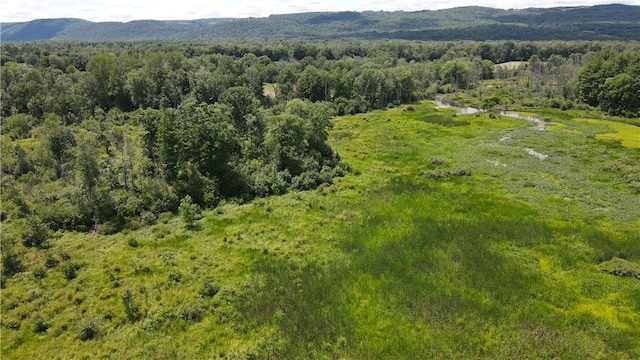 0 Myers Rd, Bradford, NY 14879