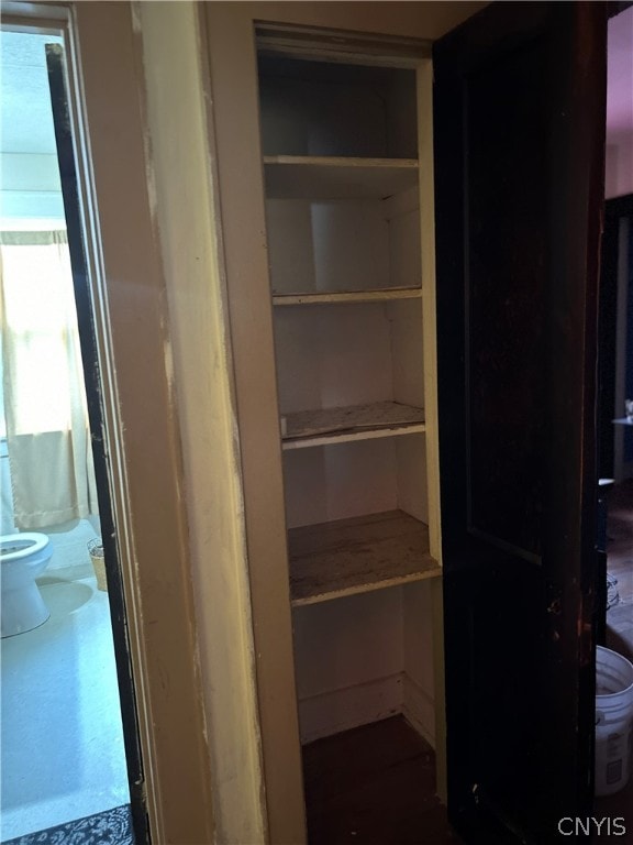 view of closet