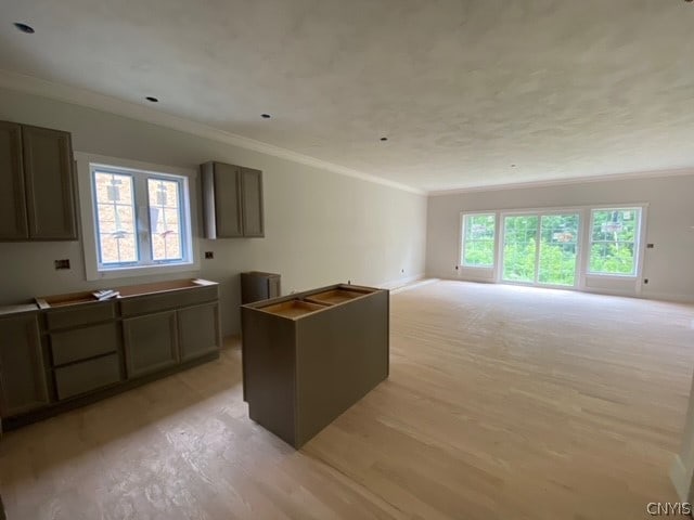 kitchen featuring a center island, light hardwood / wood-style floors, and ornamental molding