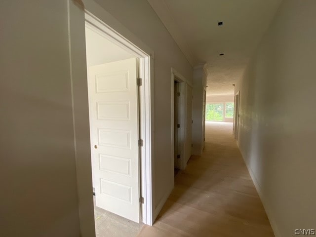 hallway with light hardwood / wood-style flooring